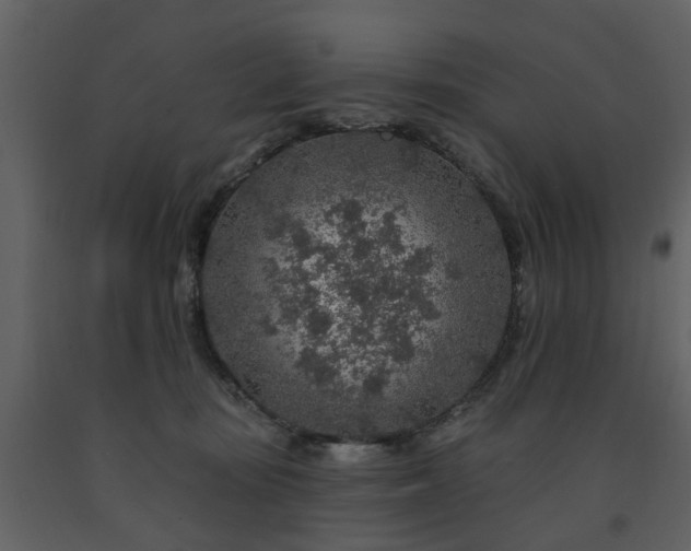 X0000091700371200708241228