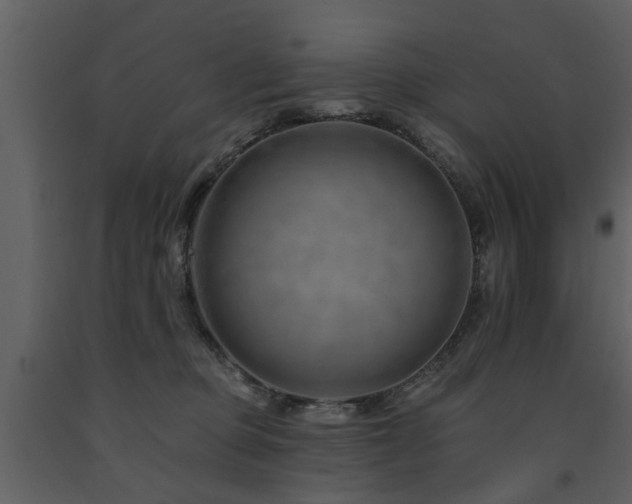 X0000091700373200708241228