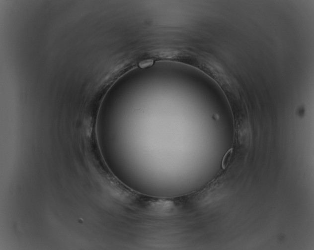 X0000091700374200708241228