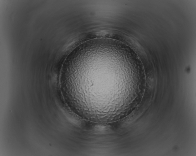 X0000091700375200708241228