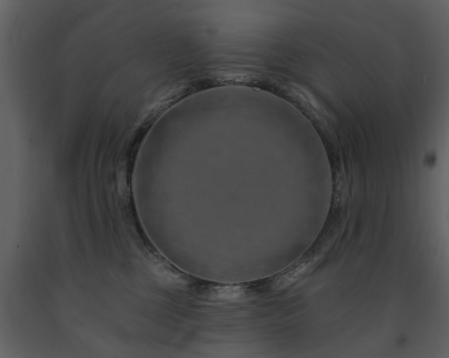 X0000091700377200708241228