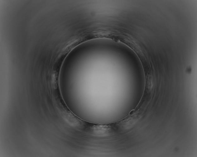 X0000091700378200708241228