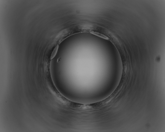 X0000091700379200708241228