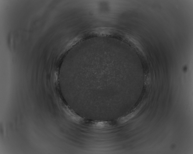X0000091700382200708241228