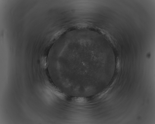 X0000091700383200708241228