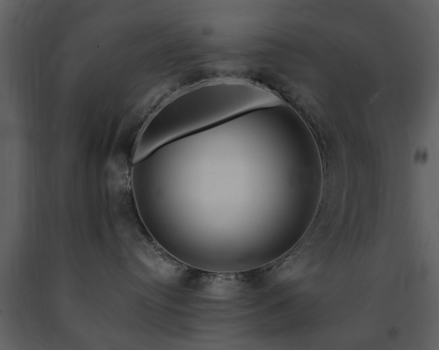 X0000091700384200708241228