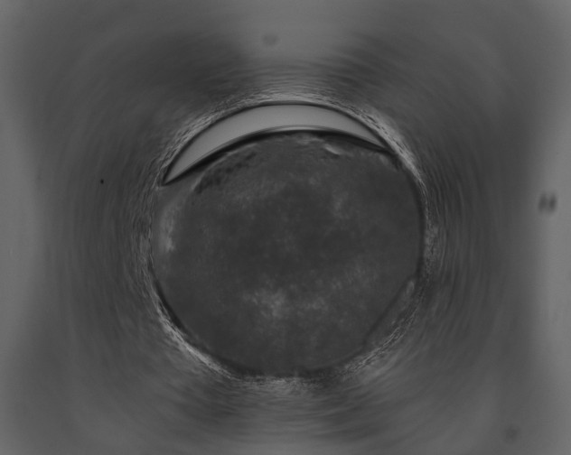 X0000091700385200708241228