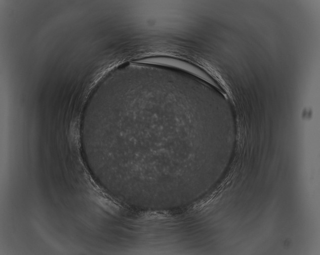 X0000091700386200708241228