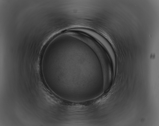 X0000091700387200708241228