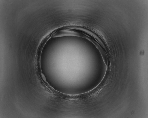 X0000091700388200708241228