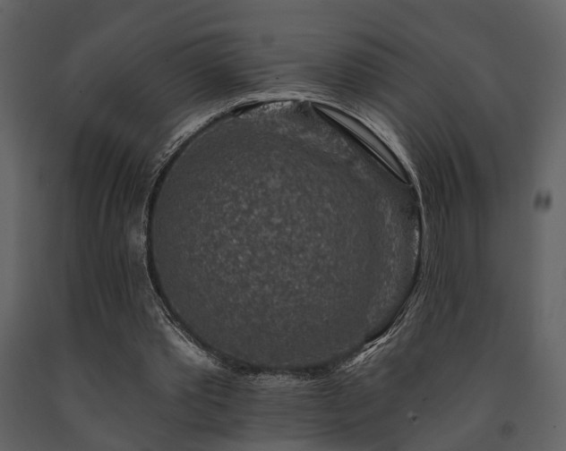 X0000091700389200708241228