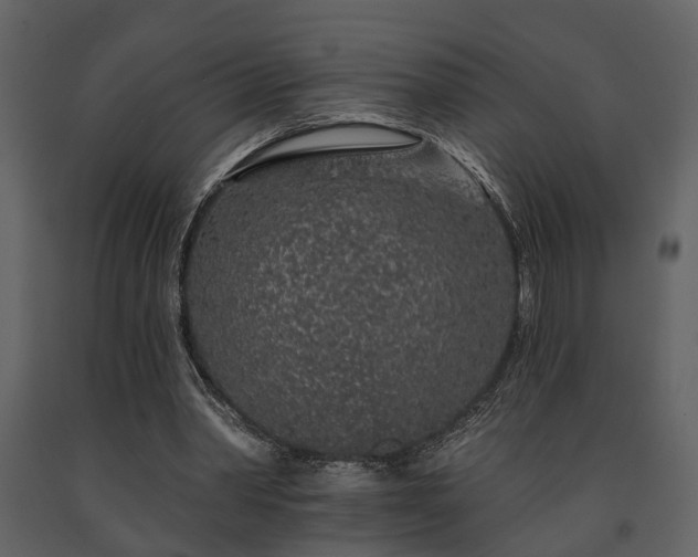 X0000091700390200708241228