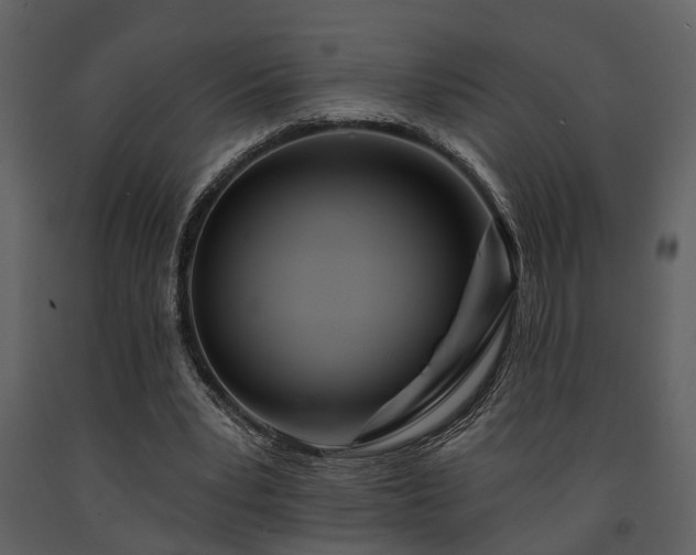 X0000091700391200708241228