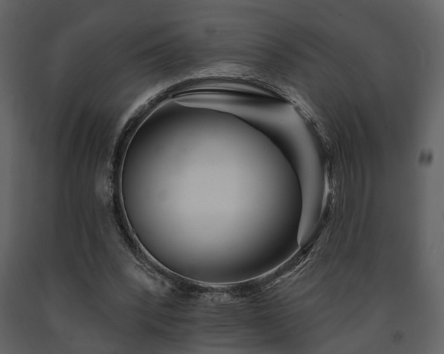 X0000091700392200708241228