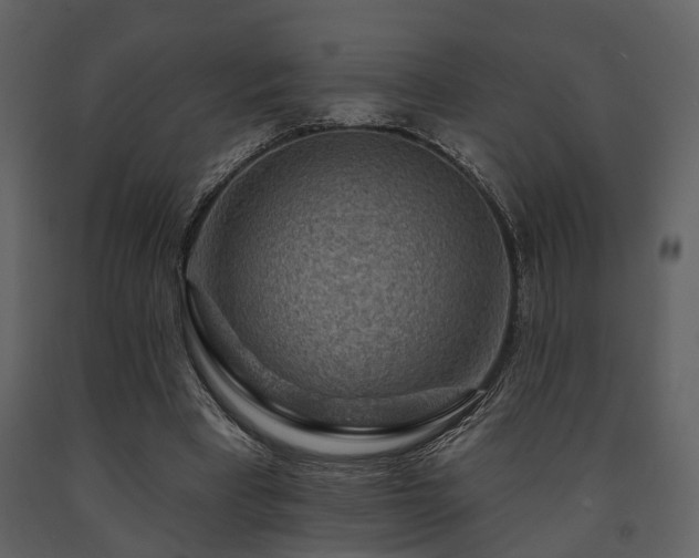 X0000091700393200708241227