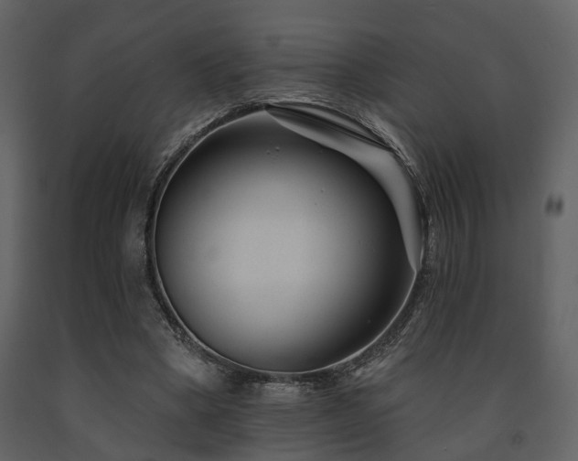X0000091700394200708241227