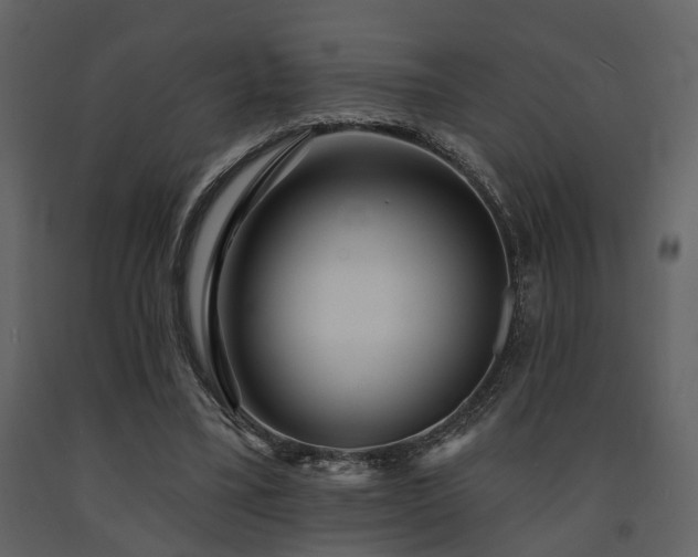 X0000091700395200708241227