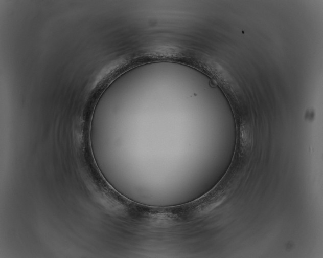 X0000091700396200708241227