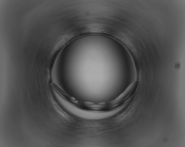X0000091700397200708241227