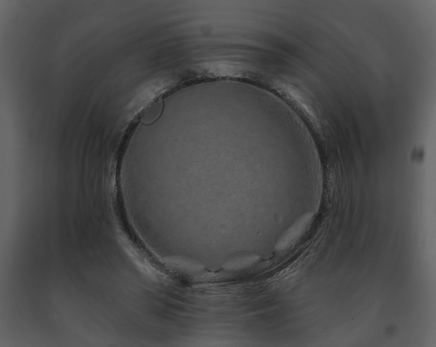 X0000091700398200708241227