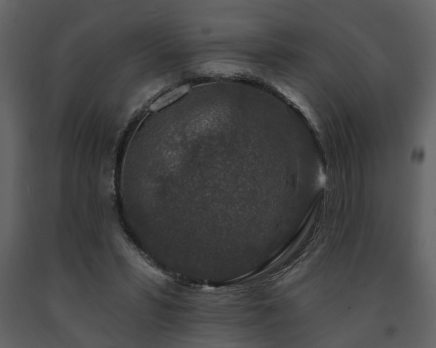 X0000091700399200708241227