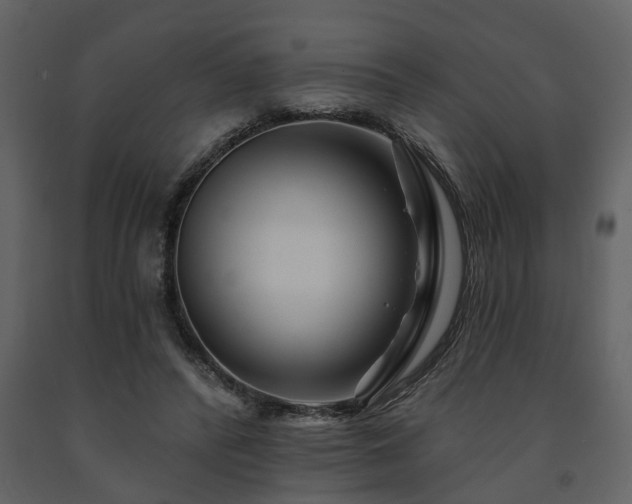 X0000091700400200708241227