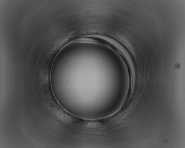 X0000091700401200708241227