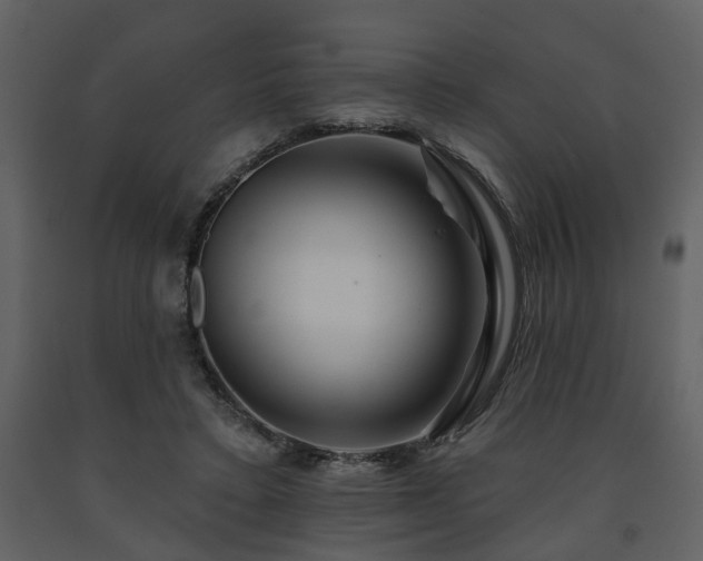 X0000091700403200708241227