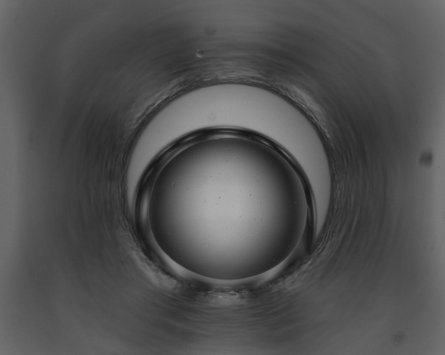 X0000091700405200708241227