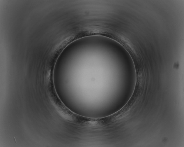 X0000091700406200708241227
