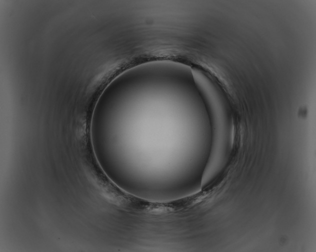 X0000091700407200708241227