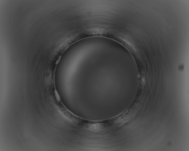 X0000091700411200708241227
