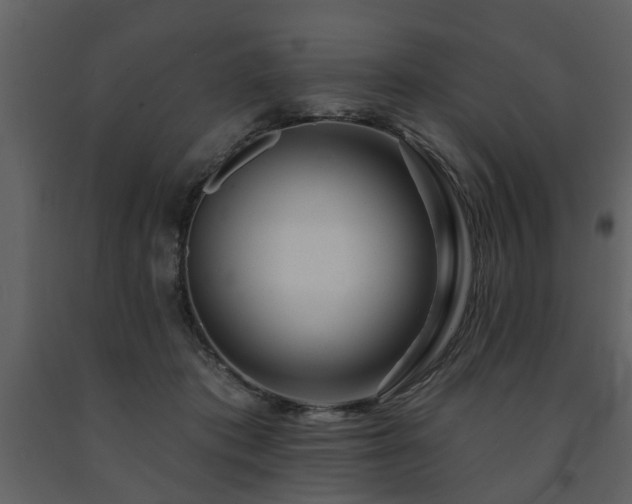 X0000091700413200708241227