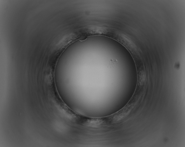 X0000091700414200708241227