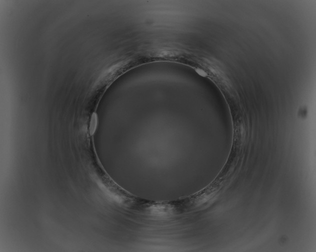 X0000091700415200708241227