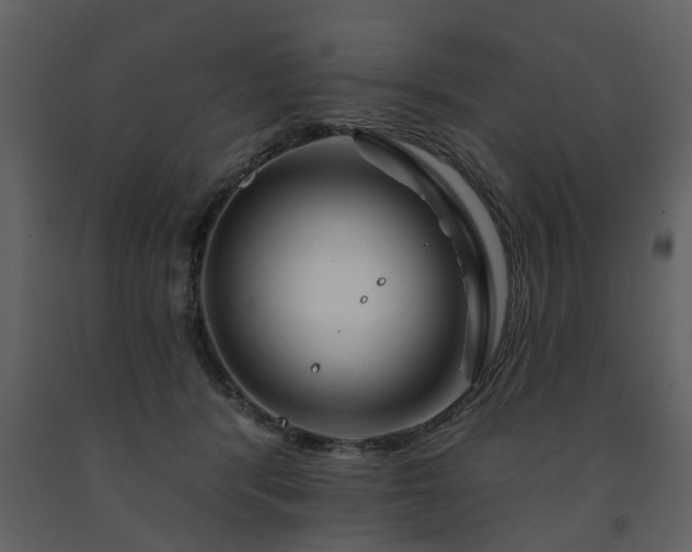 X0000091700416200708241227