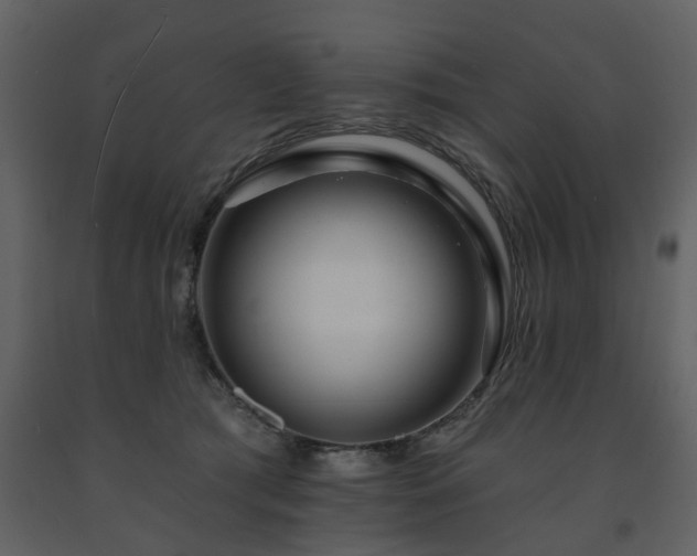 X0000091700417200708241227