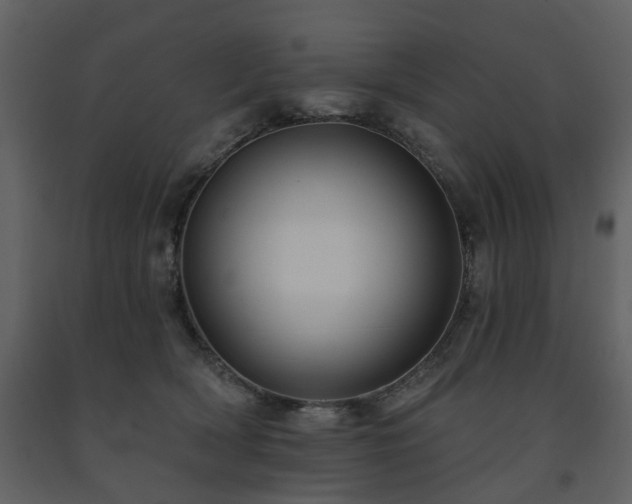 X0000091700418200708241227