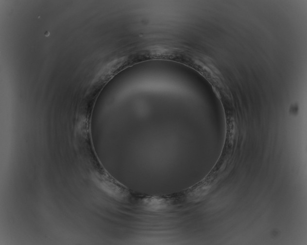 X0000091700419200708241227