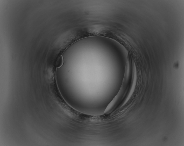 X0000091700420200708241227