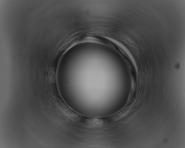 X0000091700421200708241227