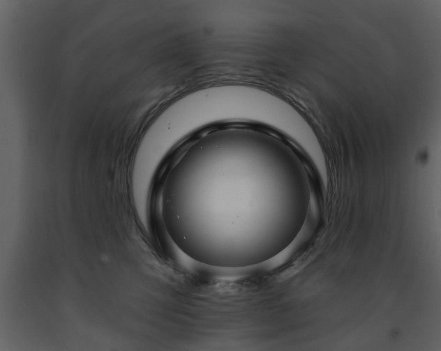 X0000091700423200708241227