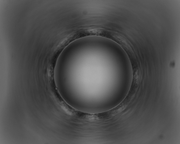 X0000091700424200708241227