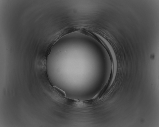 X0000091700425200708241227