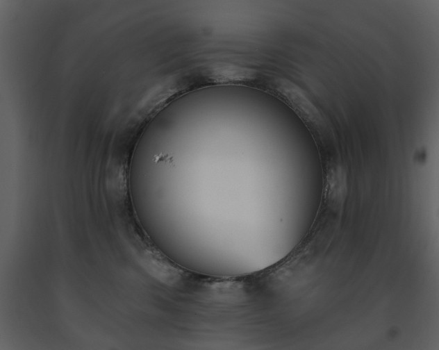 X0000091700426200708241227