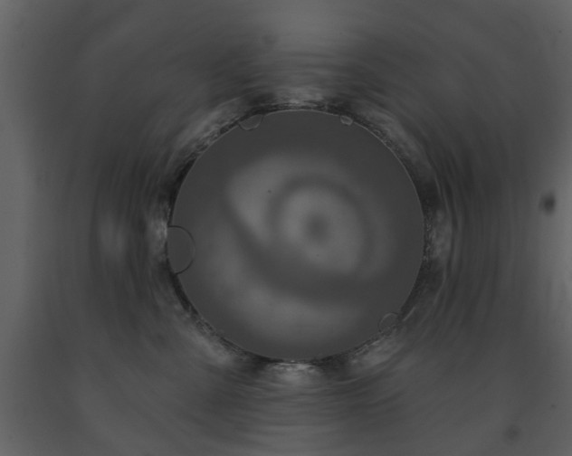 X0000091700427200708241227