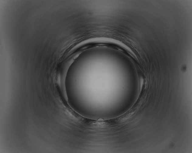 X0000091700428200708241227
