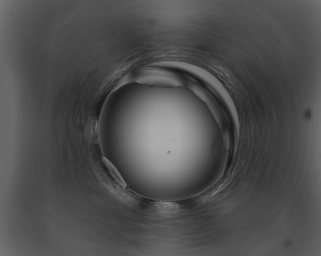 X0000091700429200708241227