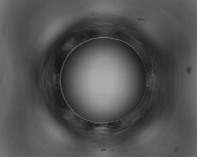 X0000091700430200708241227