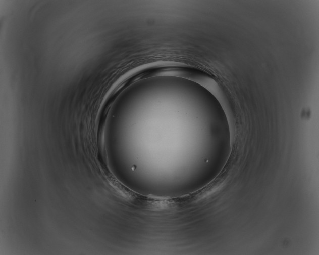 X0000091700432200708241227